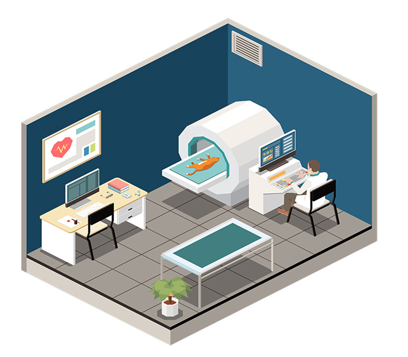 Veterinary Care Solutions